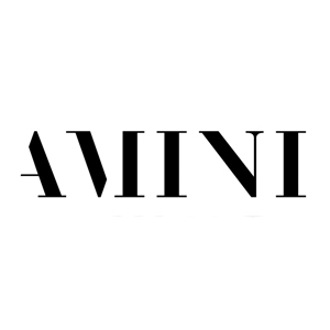amini.jpg